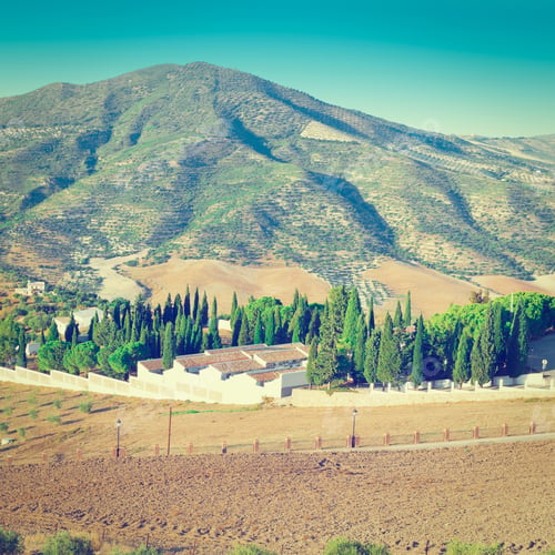 Preview: Olive Groves And Plowed Sloping Hills Around The Cemetery In Spain, Instagram Effect