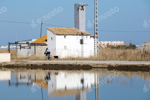 Preview: Flooded Rice Paddy Sueca Valencia Province Spain. La Albufera Nature Reserve In Wintertime.