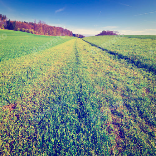 Preview: Freshly Cut Grass On A Pasture In Switzerland, Instagram Effect