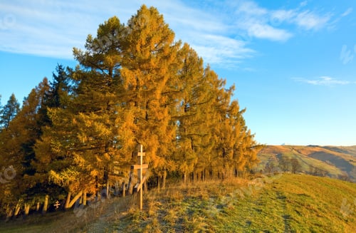 Preview: Autumn Morning Mountain View With Wooden Cross On Hill (Carpathian, Ukraine) .