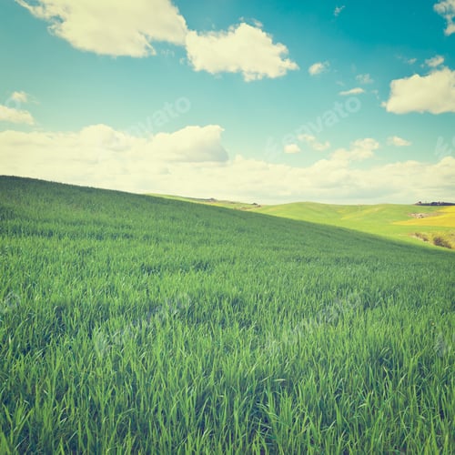 Preview: Farmhouse And Green Sloping Meadows Of Tuscany, Instagram Effect
