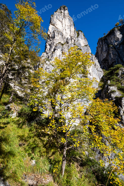 Preview: Sunny Idyllic Colorful Autumn Alpine Scene. Peaceful Rocky Mountain View From Hiking Path Near