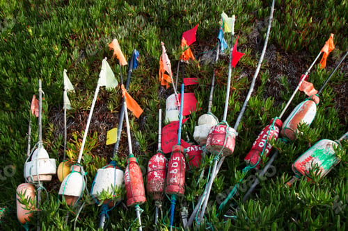 Preview: Buoy Or Float With Flag To Indicate The Location Of The Fishing Net In The Water