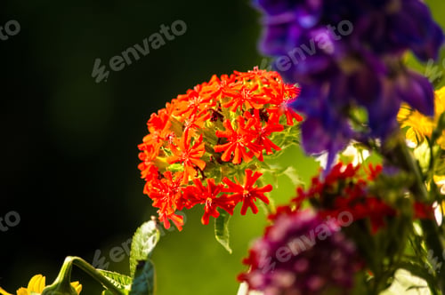 Preview: A Bouquet Of Bright Spring Flowers Of Various Types