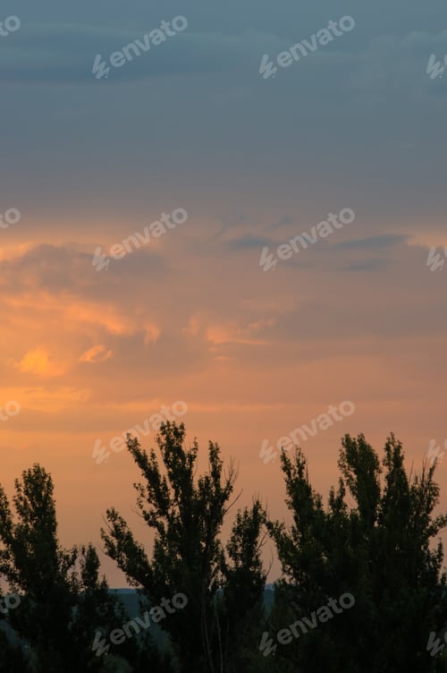 Preview: Landscape With Dramatic Light - Orange Clouds And The Outline Of Trees At Sunset