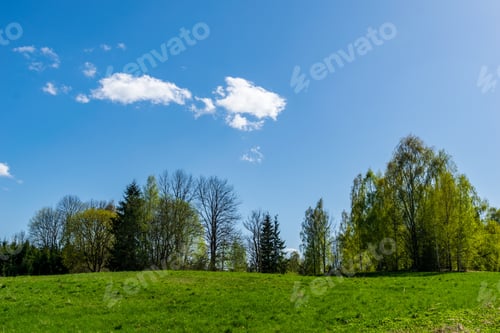 Preview: Plain Simple Countryside Spring Landscape With Fresh Green Meadows And Forests . Blue Sky Over