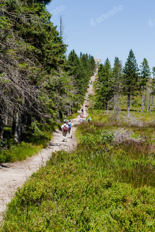 Preview: Tourists Walking Along Mountain Trail