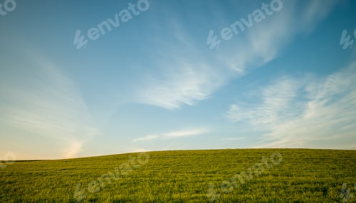 Preview: Green Field And Blue Cloudy Sky For Healthy Environment
