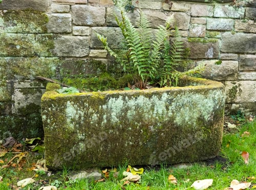 Preview: Old Vintage Stone Horse Trough Used As A Container Garden