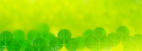 Preview: Green Clover Leaves On A Background Summer Landscape. St.Patrick 'S Day.