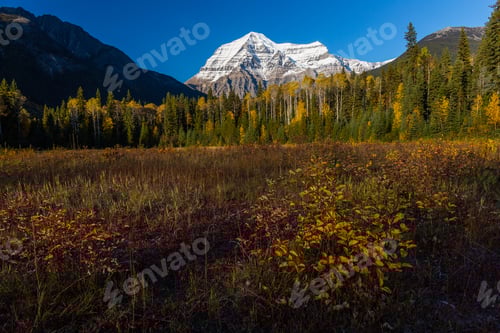 Preview: Mt Robson, The Highest Peak Of Canadian Rockies, Towering Above The Adjacent Landscape