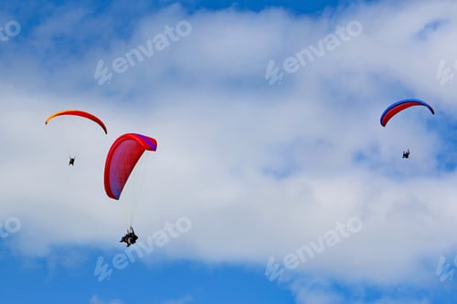 Preview: Paragliders Flying In A Summer Sky
