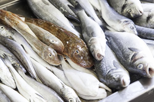 Preview: Fresh Fish In A Market, Detail Of An Old Market, Healthy Food