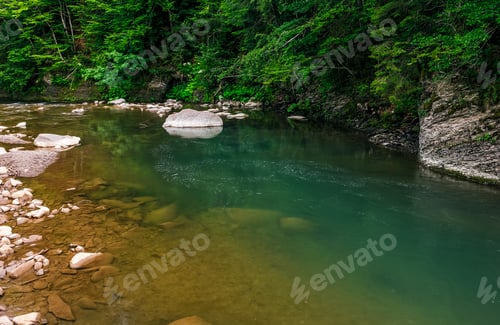 Preview: Deep Green Forest River With Rocky Shore. Colorful Nature Background