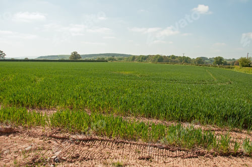 Preview: Farming Landscape In The Herefordshire Countryside Of England.