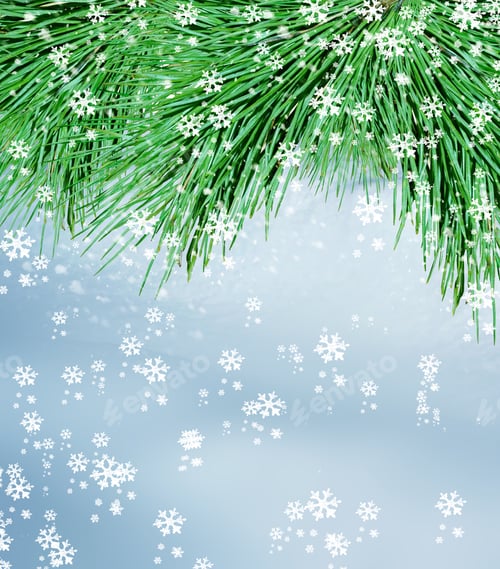 Visualização: Floresta de inverno