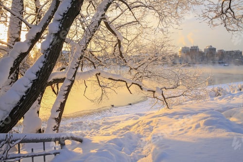 Preview: Winter Landscape At Sunset. Snow Lit By The Sun