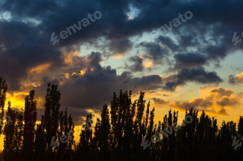 Preview: Landscape With Dramatic Light - Orange Clouds And The Outline Of Trees At Sunset