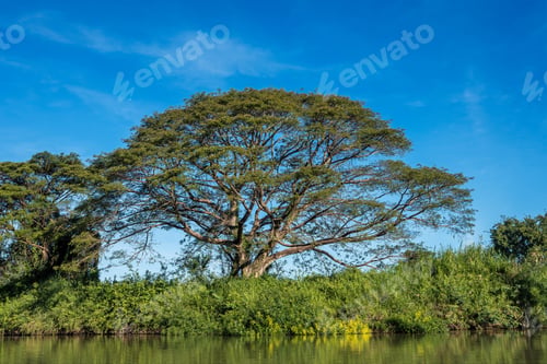 Preview: Four thousand Islands Over The Mekong River Between Don Det And Don Khone Near Cambodian Border In Laos
