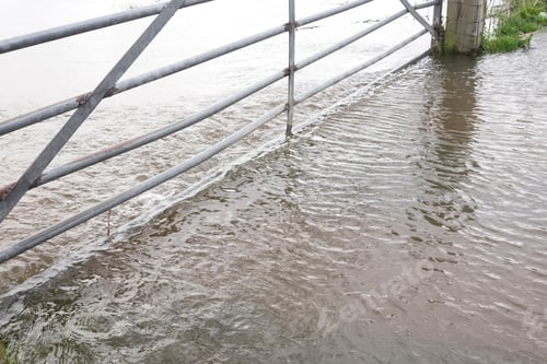 Preview: Flooded River Trent At Sawley, Derbyshire
