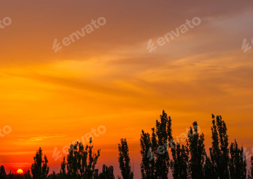 Preview: Landscape With Dramatic Light - Orange Clouds And The Outline Of Trees At Sunset