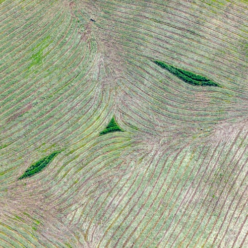 Preview: Aerial View Over The Rural Fields