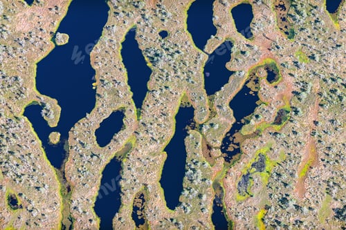 Preview: Aerial View Over The Swamp And Vegetation