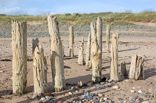 Preview: Old Groynes On The Beach