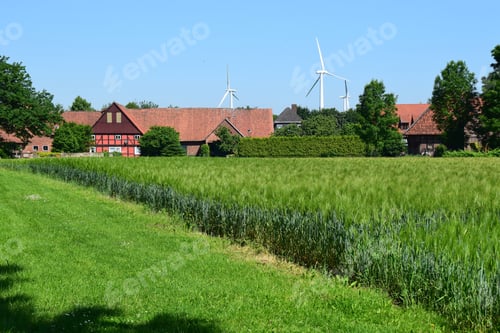 Preview: Traditional Farmhouse Behind Grain Field In Probsthagen / Schaumburg