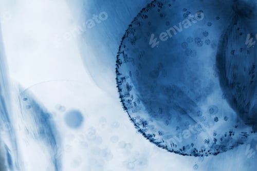 Preview: Abstract Underwater Games With Jelly Balls, Bubbles And Light