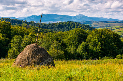 Preview: Haystack On Gcountrysiderassy Lawn On Hillside. Ecology Agricultural Concept. Location Near Pikui