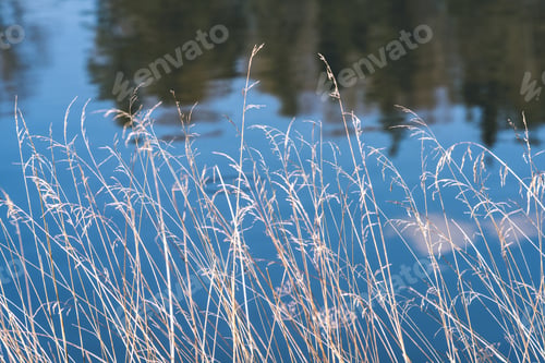 Preview: Summer Landscape Of River With Clouds And Reflections. Bents And Different Plants - Vintage Film
