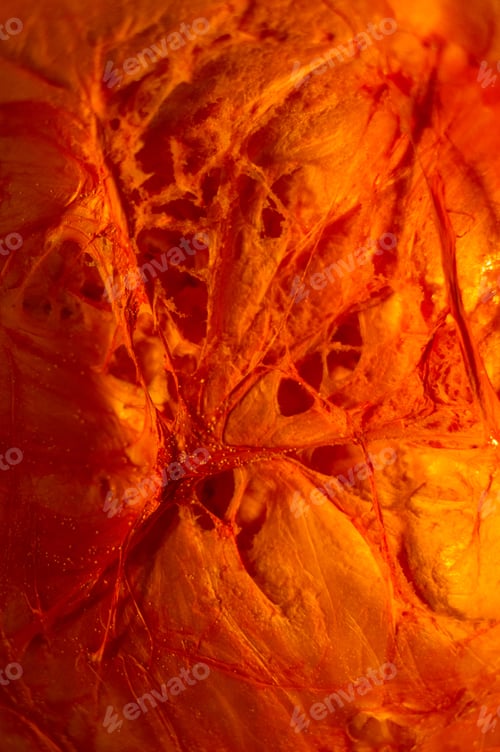 Preview: Amazing View Of The Cut Orange Pumpkin From The Inside, Close-Up