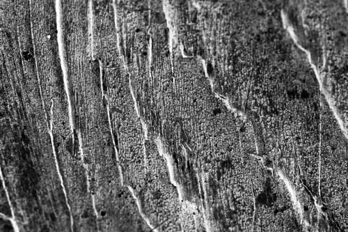 Preview: Wood Texture From Very Old, Weathered Piece On Wood From A Fence