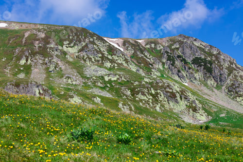 Preview: Landscape With Iezer Peak Of Parang Mountains In Romania