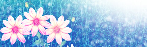 Preview: Colorful Flowers Dahlia On The Background Of The Summer Landscape. Nature