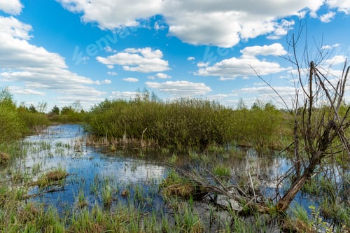 Preview: Landscape With Bog Under Nice Clouds