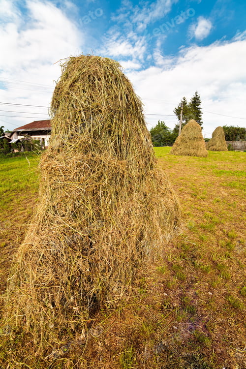 Preview: Landscape With Hay Stacks Under Blue Sky In The Countryside