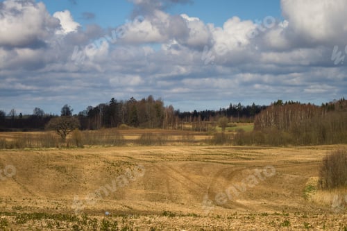 Preview: Processed Cereal Fields In Spring