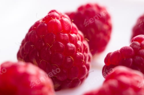 Preview: Big Fresh Juicy Raspberries On A White Saucer Close Up, Selected Focus