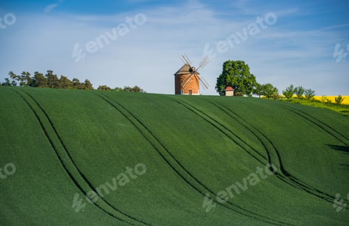 Preview: Old Wind Mill At South Moravia