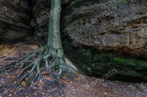 Preview: Natural Monument - Pravcicka Brana At Hrensko, Czech Republic