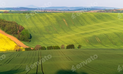Preview: South Moravia Landscape And Farmland At Sunrise