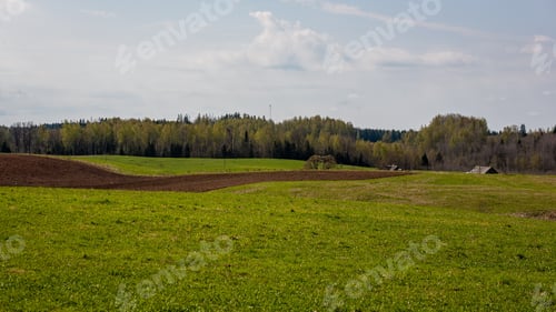 Preview: Bushes And Trees In Autumn Mist In Green Meadow In Countryside