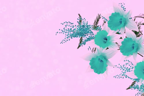 Preview: Bright Spring Flowers Daffodils And Mimosa. Floral Background.