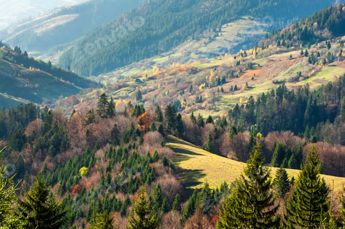 Preview: Autumn Slope Of Mountain Range With Coniferous Forest And Village