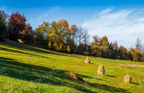 Preview: Mountain Rural Area In Autumn Season. Agricultural Field With Haystack On A Hill Near The Forest