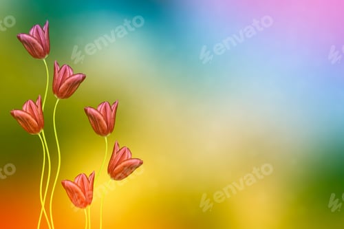 Preview: Bright And Colorful Flowers Tulips On The Background Of Spring Landscape.