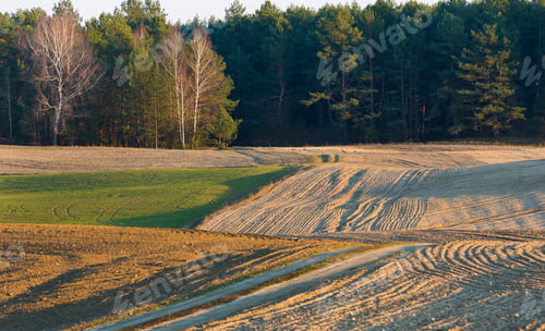 Preview: Plowed And Sown Field Landscape Photographed In Poland At Early Springtime.