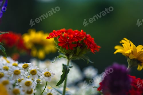 Preview: A Bouquet Of Bright Spring Flowers Of Various Types